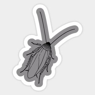 Cockroach Sticker